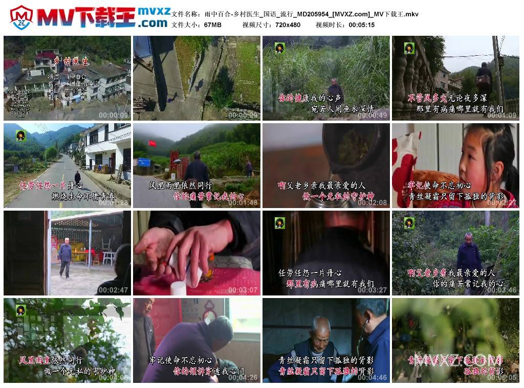 雨中百合-乡村医生_国语_流行_MD205954